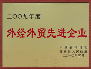 外經(jīng)外貿(mào)先進(jìn)企業(yè).jpg