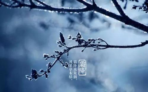 霜降節(jié)氣養(yǎng)生原則